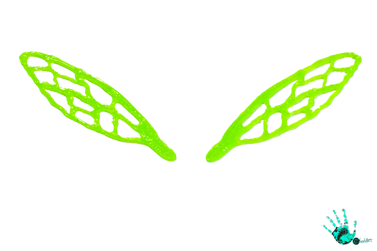 3D Bug Wings