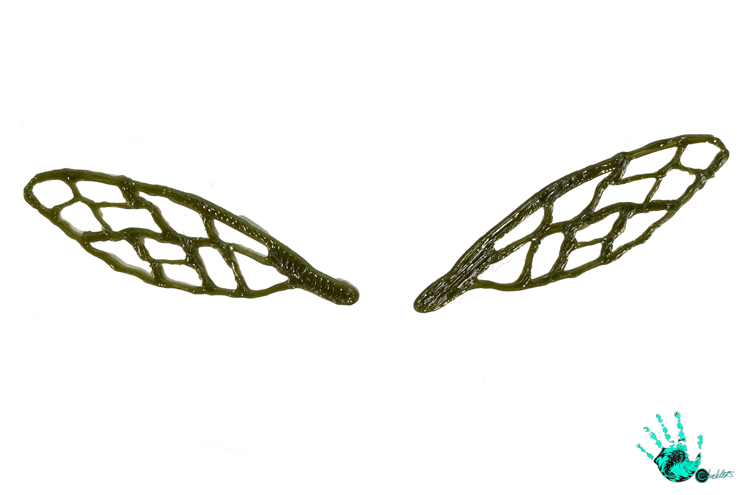 3D Bug Wings