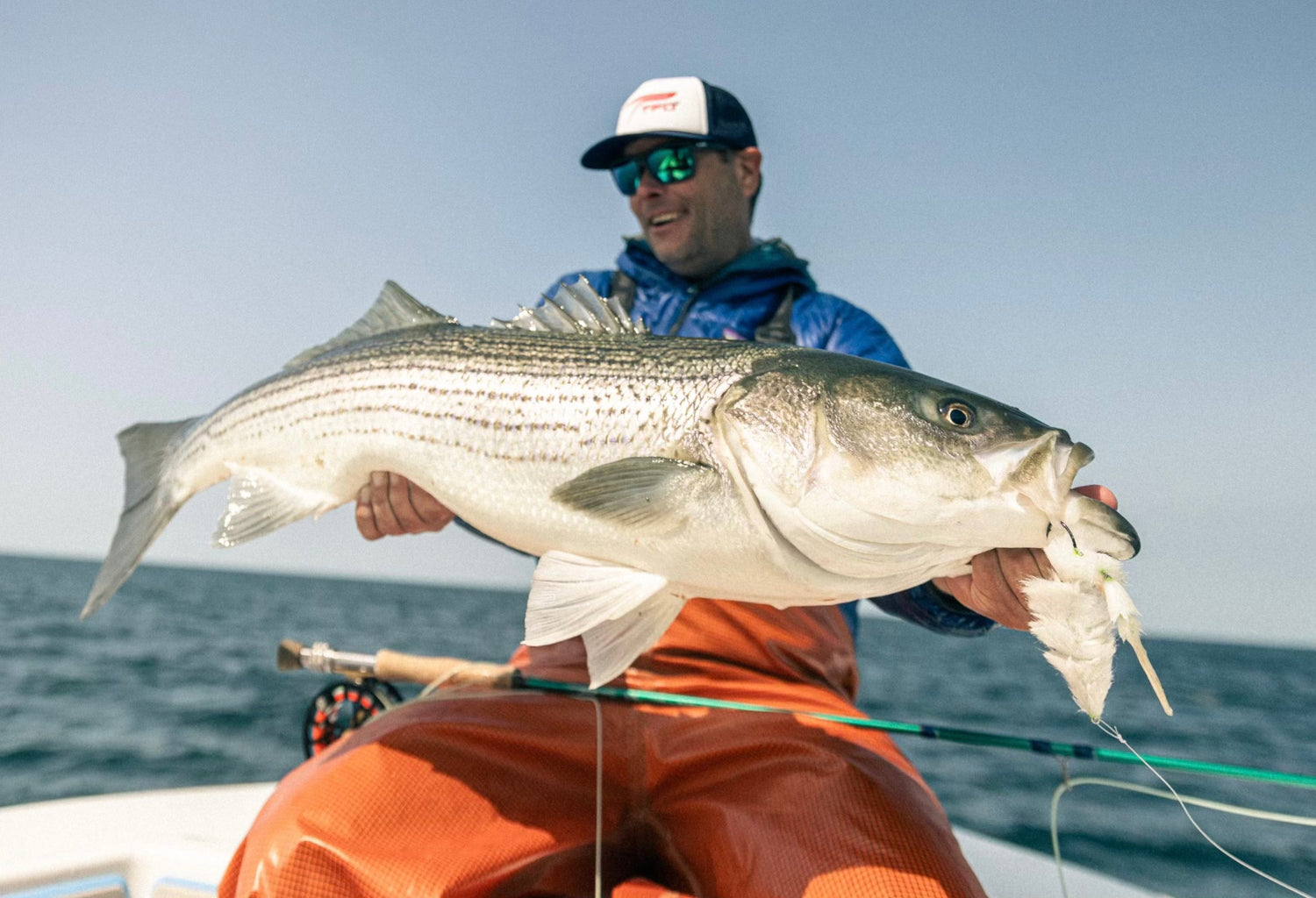 STRIPER