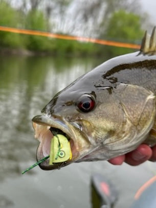 DIY BUG POPPER KIT