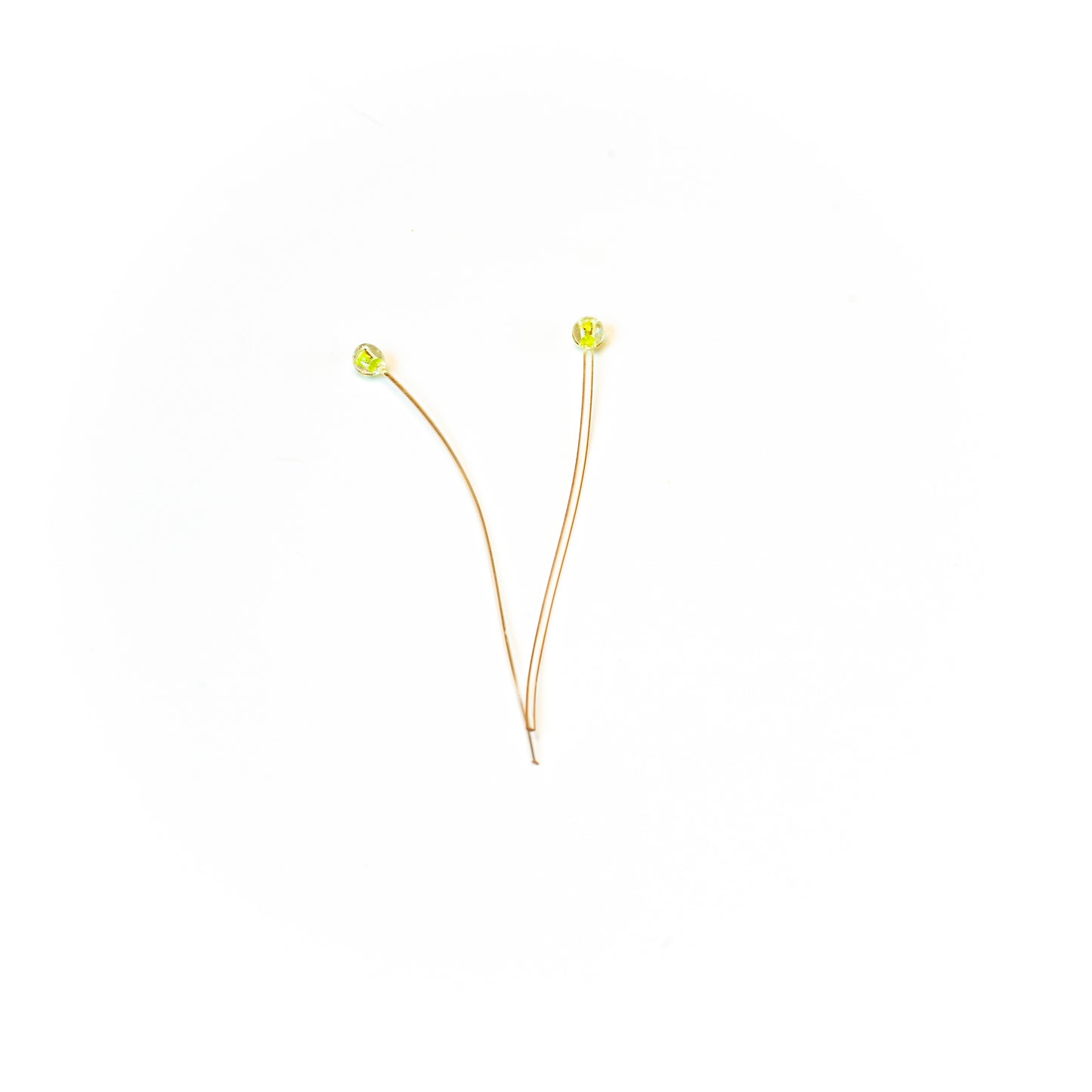 CHOCKLETT'S FLEXIBLE CRUSTACEAN EYES