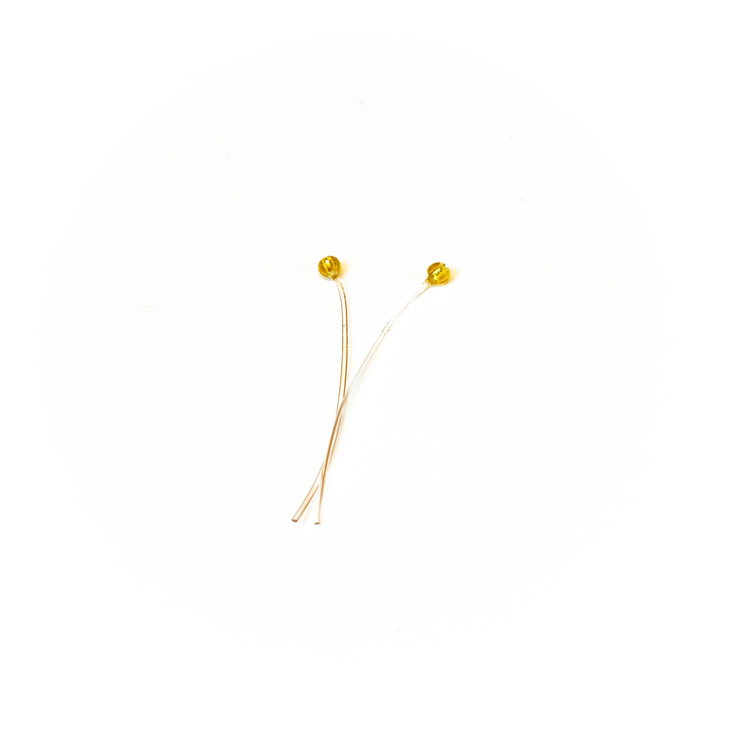 CHOCKLETT'S FLEXIBLE CRUSTACEAN EYES