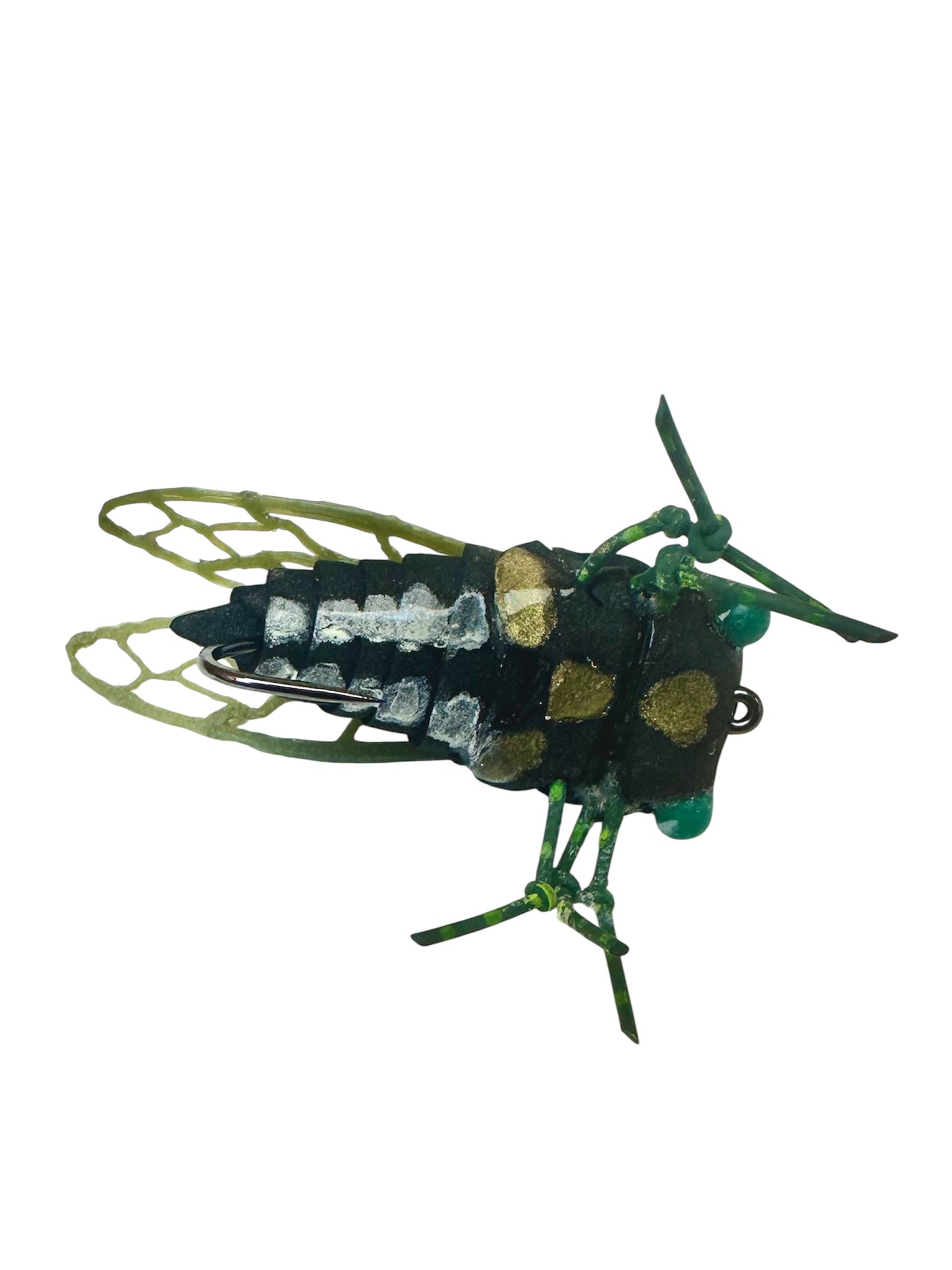 CHOCKLETT'S DIY CICADA KIT