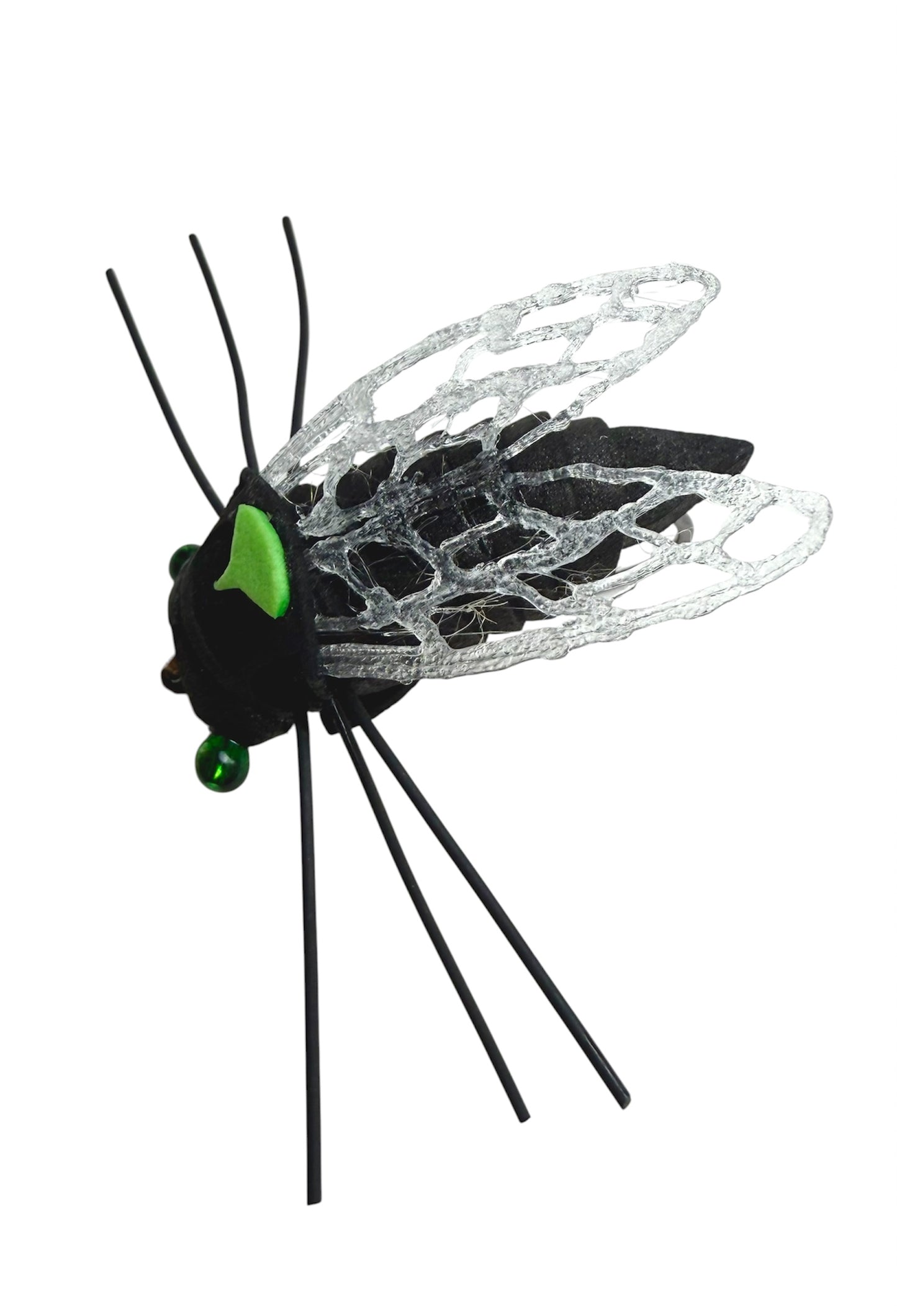 Chocklett's Annual Dog-Day Cicada
