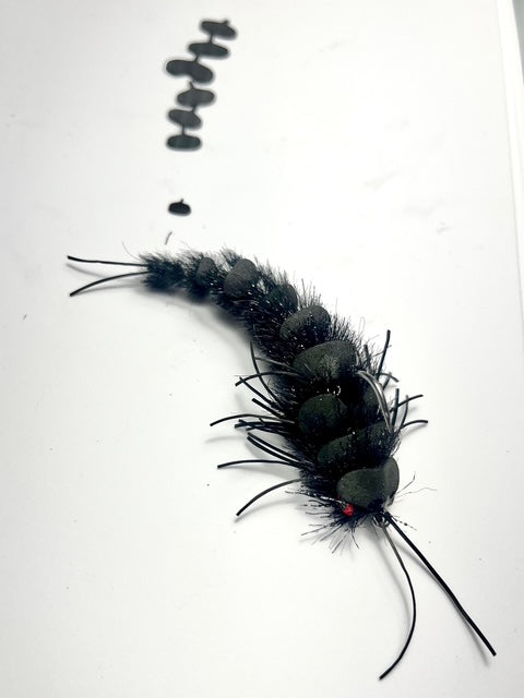 Hellgrammite Bodies