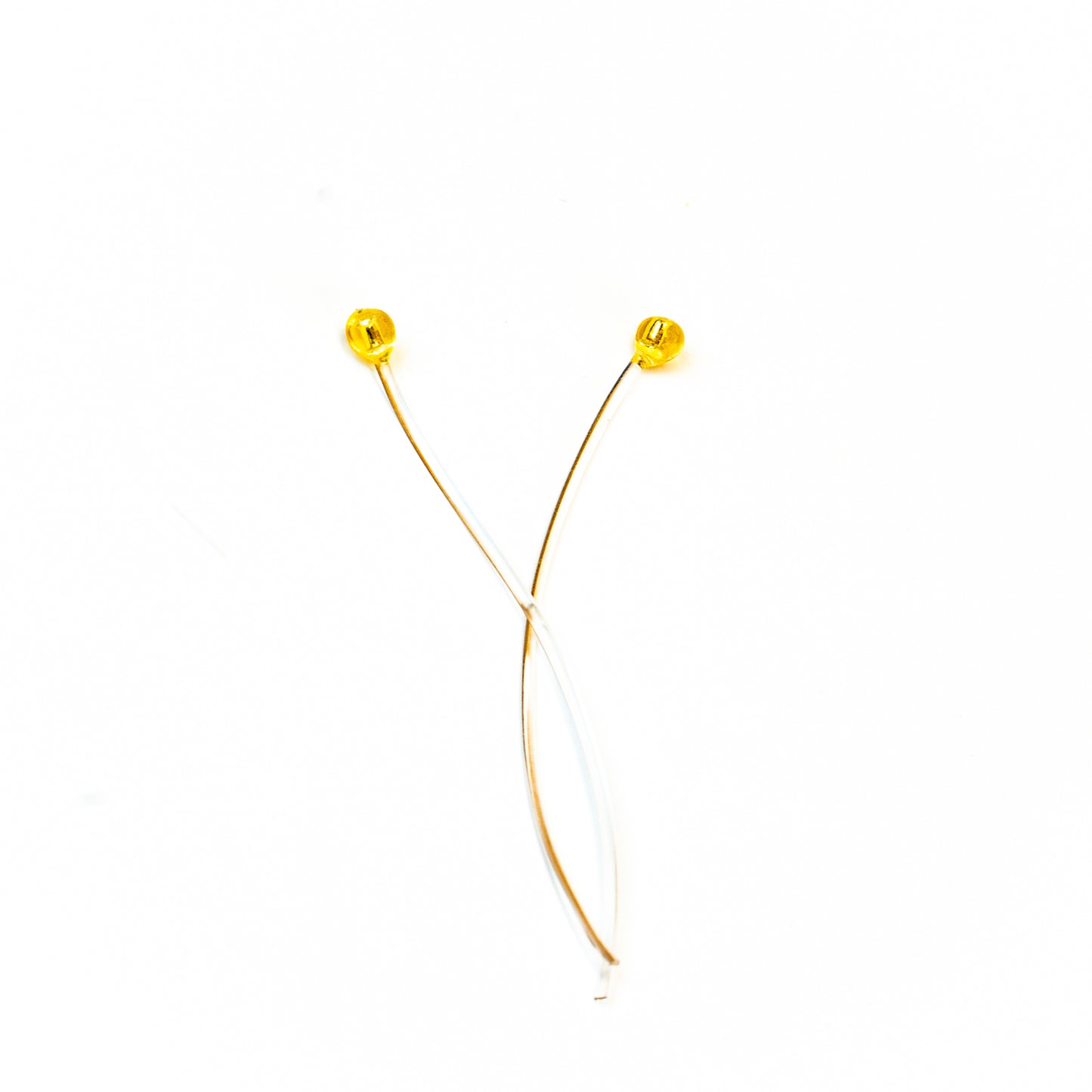 CHOCKLETT'S FLEXIBLE CRUSTACEAN EYES